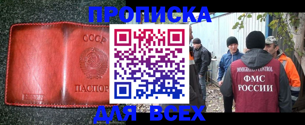 временная регистрация поиск в Братске